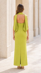 Back view of lime maxi dress showing back slit and zipper