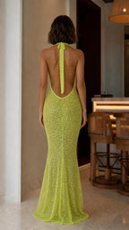 Back view showing open back of lime sequin gown