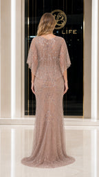 Back view showing sweep train of champagne evening dress
