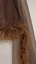 Close-up of feather trim texture and sheer fabric