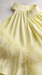 Close-up detail of high collar and feather trim on yellow dress