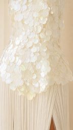 Close-up detail of sequin applique bodice and fringe skirt