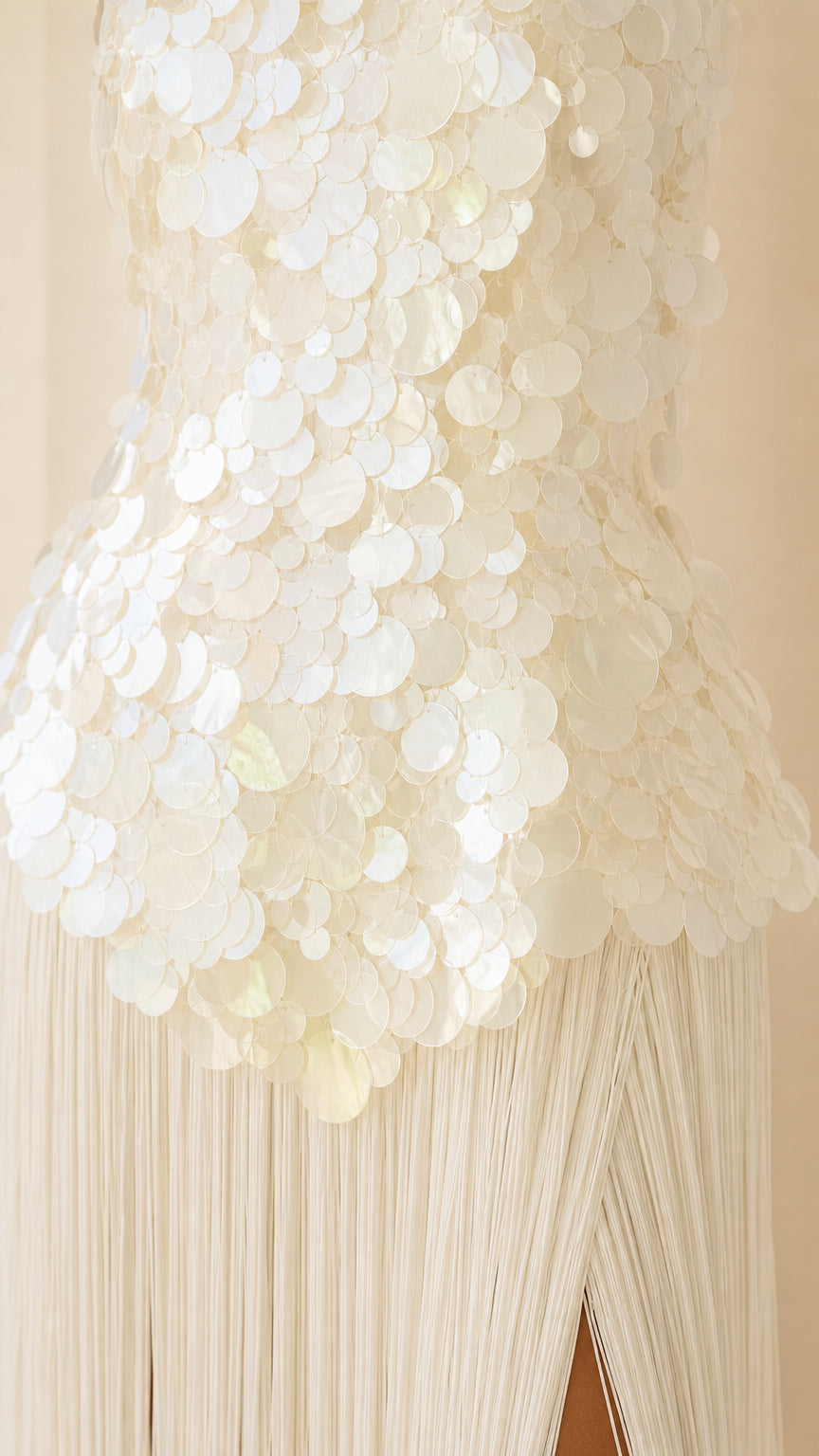 Close-up detail of sequin applique bodice and fringe skirt