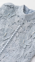Close-up of lace bodice, high neck, and button details